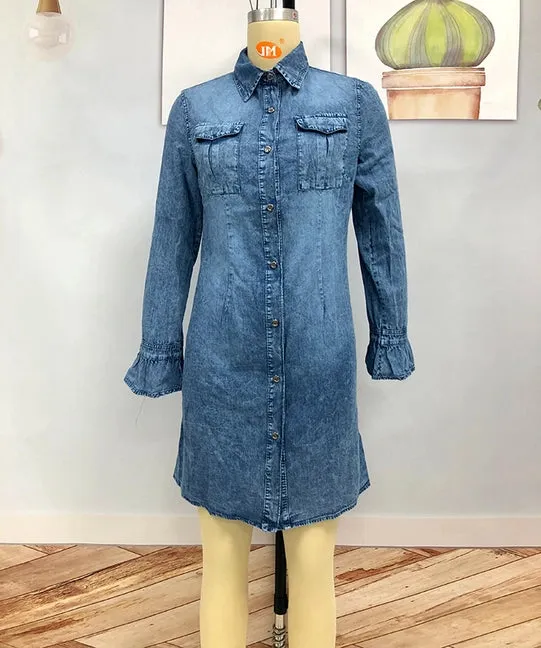 Button Down Denim Dress