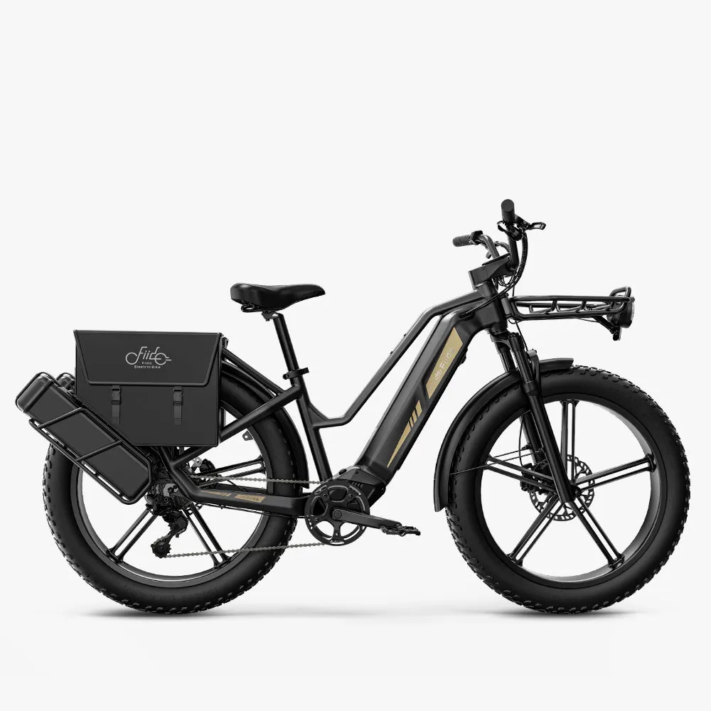 Fiido Titan Robust Cargo Electric Bike