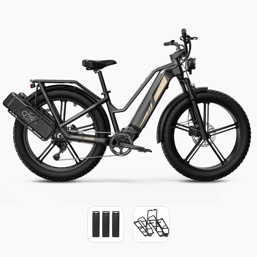 Fiido Titan Robust Cargo Electric Bike