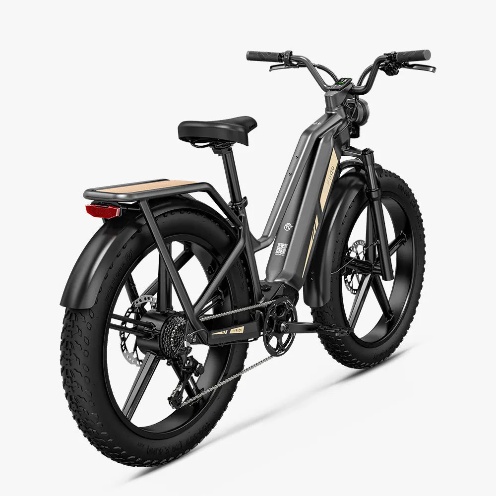 Fiido Titan Robust Cargo Electric Bike